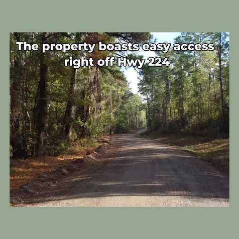 - Lakeview Estates Drive Coldspring TX 77331