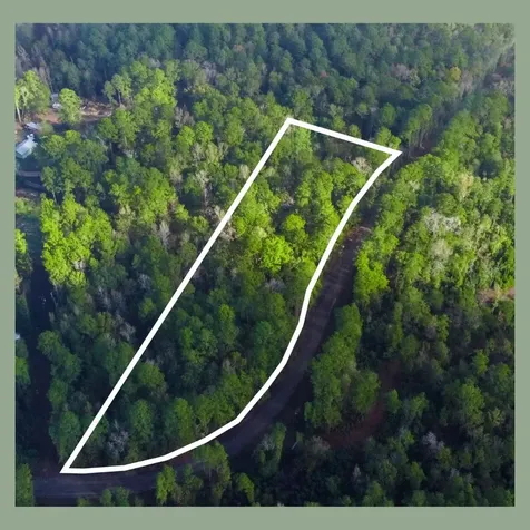 - Lakeview Estates Drive Coldspring TX 77331