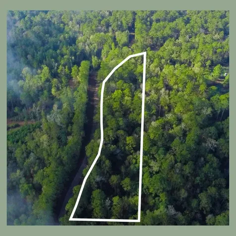 - Lakeview Estates Drive Coldspring TX 77331