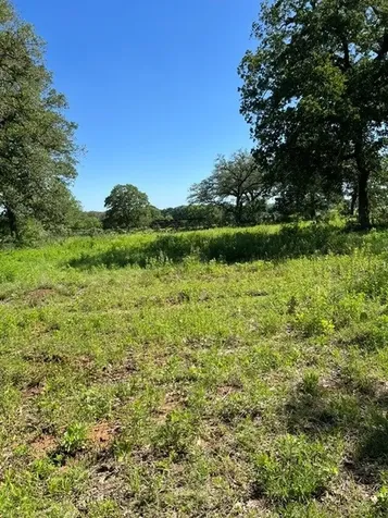 322 County Road 446 Nixon TX 78140