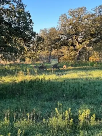 322 County Road 446 Nixon TX 78140