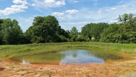 (Tract 2) Green Hill Road -10 Acres Caldwell TX 77836