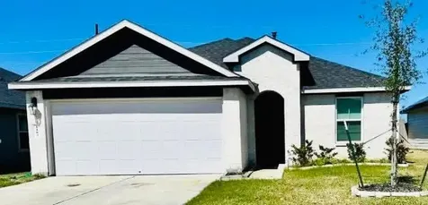 1103 Cattle Chute Court Rosharon TX 77583