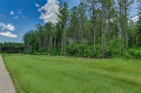 16215 Golden Wood Court Willis TX 77378