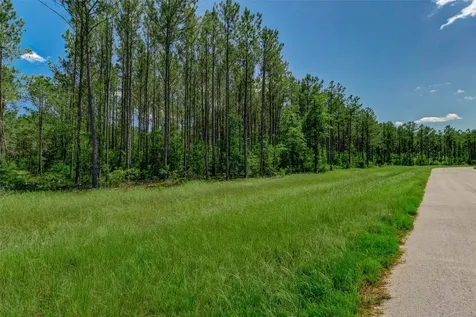 16215 Golden Wood Court Willis TX 77378