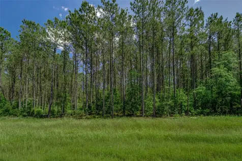 16215 Golden Wood Court Willis TX 77378
