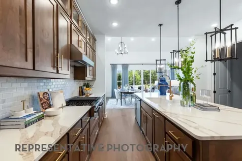 25010 Wilderness Haven Lane Katy TX 77493