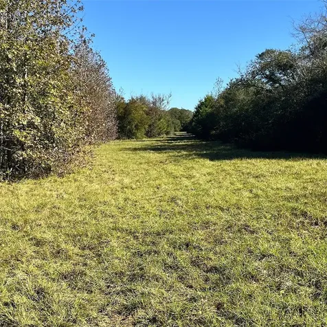 12124 County Road 122 Centerville TX 75833
