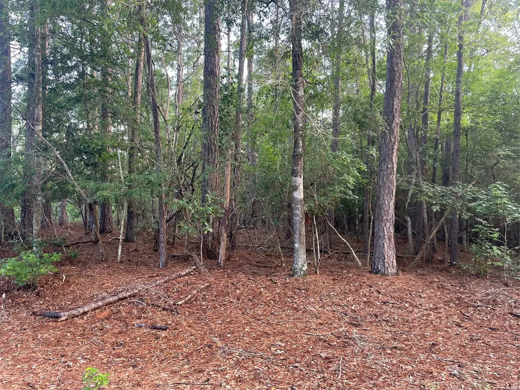 Lot 2 Buckeye Street W Village Mills TX 77663