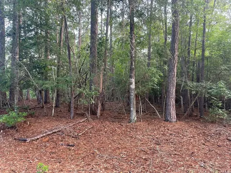 Lot 2 Buckeye Street W Village Mills TX 77663