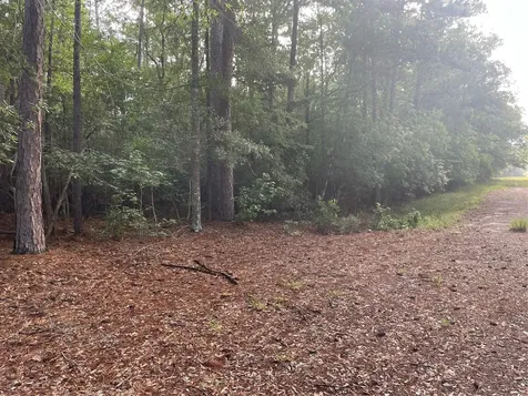 Lot 2 Buckeye Street W Village Mills TX 77663