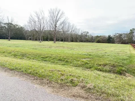 16834 Wrangler Road Rosharon TX 77583
