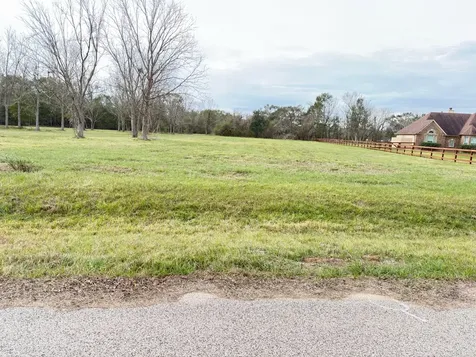 16834 Wrangler Road Rosharon TX 77583