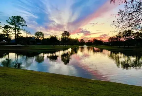 10306 Aldrin Drive Rosharon TX 77583