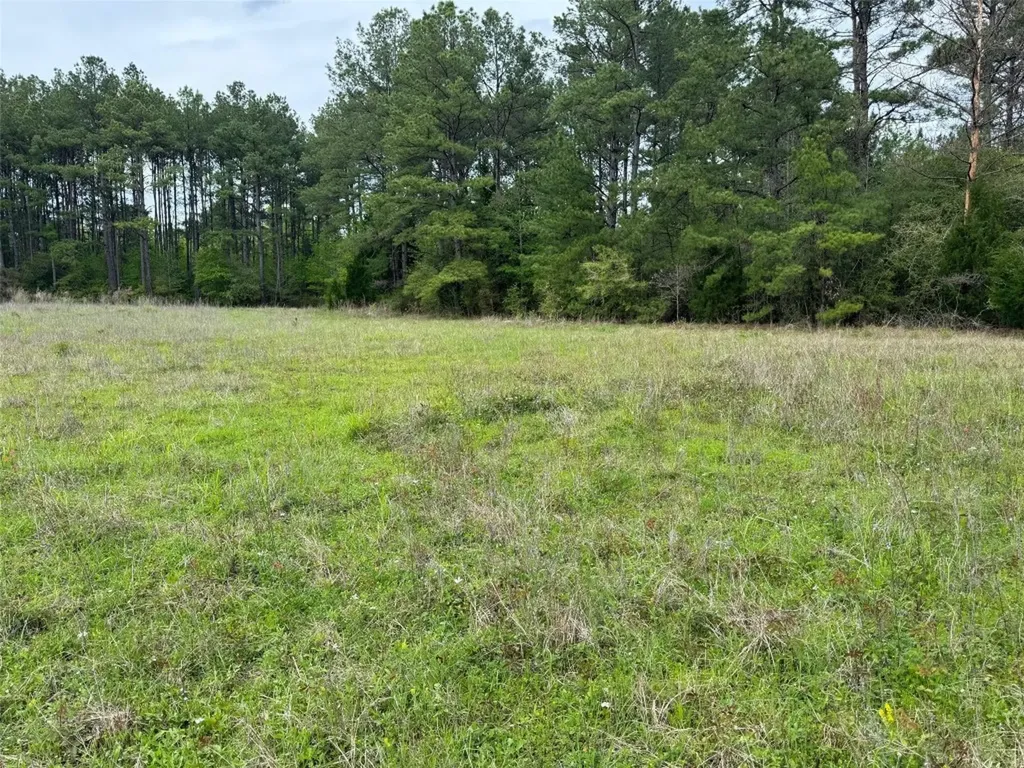 10586 Holland Road Kountze TX 77625