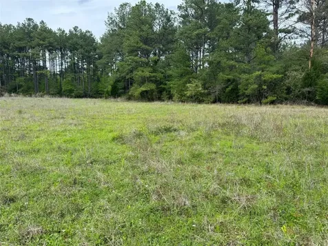 10586 Holland Road Kountze TX 77625
