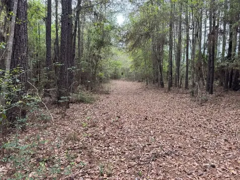 10586 Holland Road Kountze TX 77625
