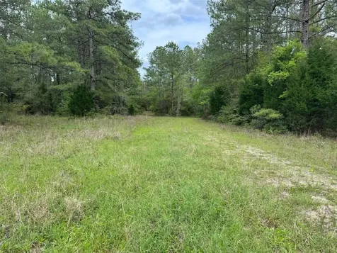 10586 Holland Road Kountze TX 77625