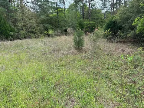 10586 Holland Road Kountze TX 77625