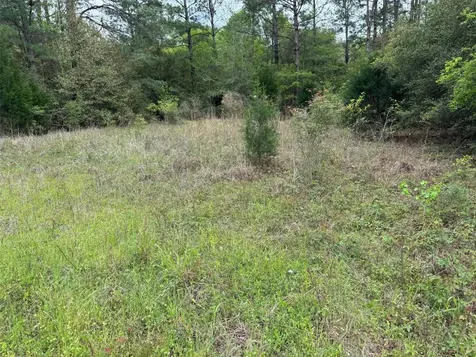 10586 Holland Road Kountze TX 77625