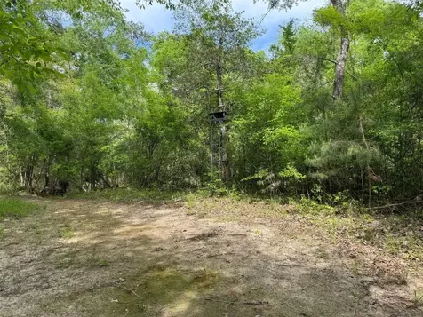 10586 Holland Road Kountze TX 77625