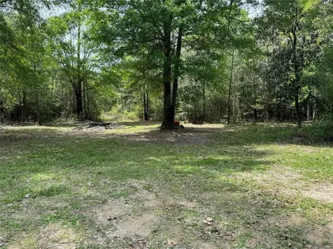 10586 Holland Road Kountze TX 77625