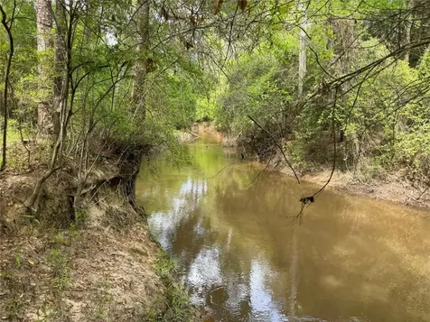 10586 Holland Road Kountze TX 77625