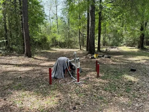 10586 Holland Road Kountze TX 77625
