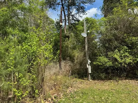 10586 Holland Road Kountze TX 77625