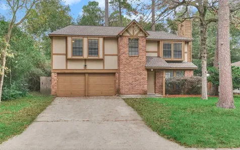 3 Field Flower Court The Woodlands TX 77380