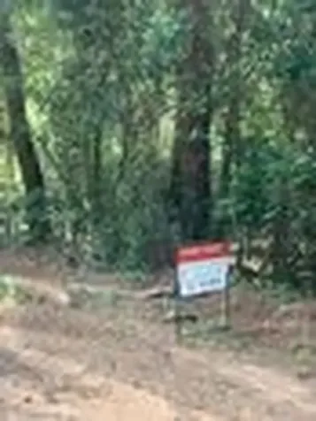 Tbd Tanyard Road Conroe TX 77303