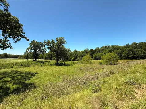 Tbd 35 Acres Fm 2547 Fairfield TX 75840