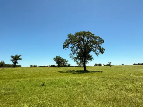 Tbd 35 Acres Fm 2547 Fairfield TX 75840