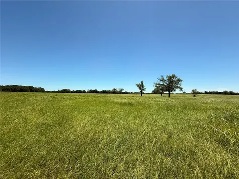 Tbd 35 Acres Fm 2547 Fairfield TX 75840