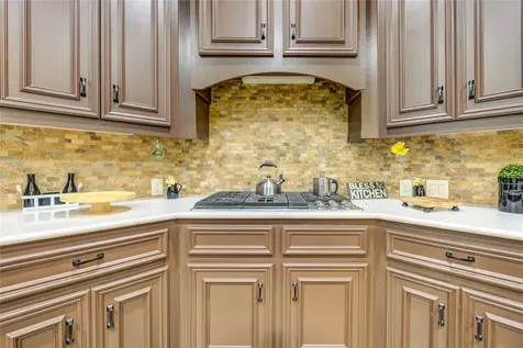 25831 Morgan Springs Spring TX 77373