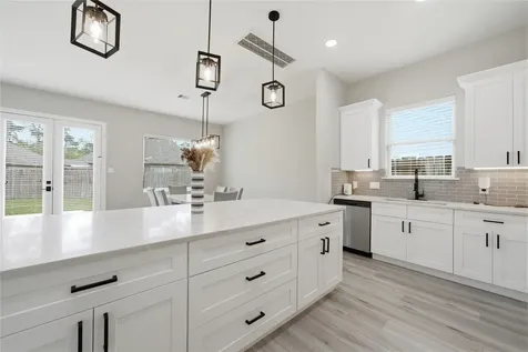 4903 Curiosity Court Houston TX 77069