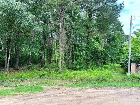 19212 Cannock Court New Caney TX 77357