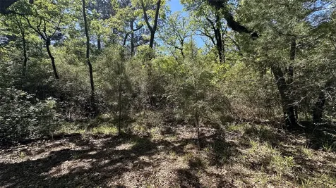 9884 Rocky Ridge Lane Madisonville TX 77864