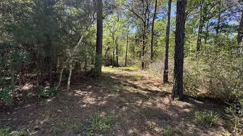 9884 Rocky Ridge Lane Madisonville TX 77864