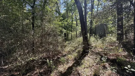 9884 Rocky Ridge Lane Madisonville TX 77864