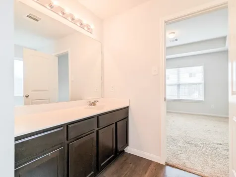 3834 Giorgio Pastel Place Katy TX 77493