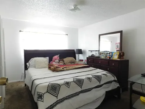 3802 Brier Gardens Drive Houston TX 77082