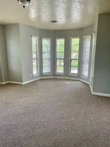 21122 Harvest Hill Lane Houston TX 77073