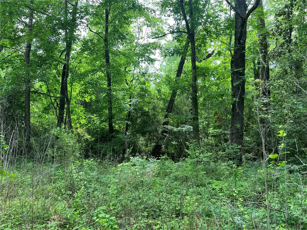 Tbd Lot 22 Forester Livingston TX 77351