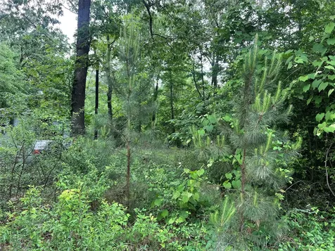Tbd Lot 22 Forester Livingston TX 77351