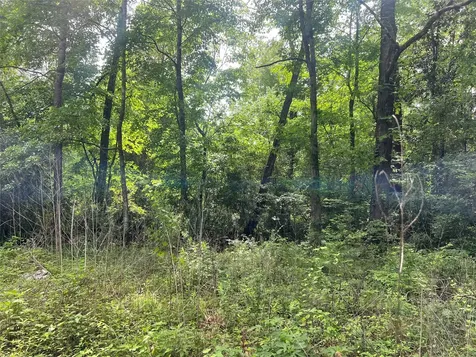 Tbd Lot 22 Forester Livingston TX 77351