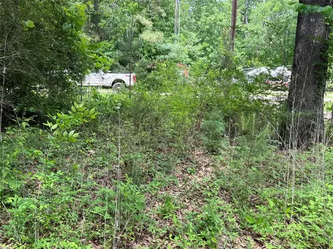 Tbd Lot 22 Forester Livingston TX 77351
