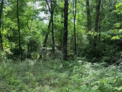 Tbd Lot 22 Forester Livingston TX 77351
