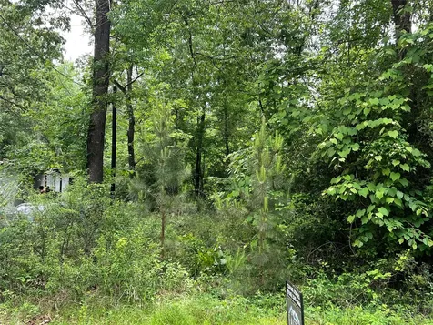 Tbd Lot 22 Forester Livingston TX 77351