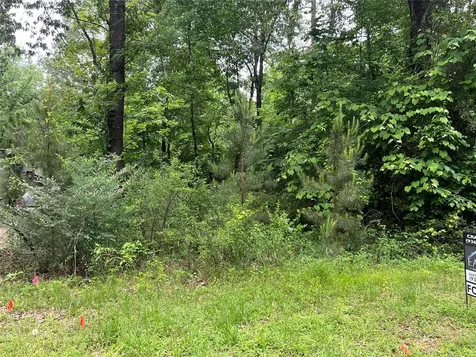 Tbd Lot 22 Forester Livingston TX 77351